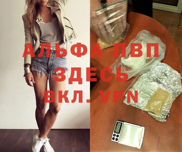 гидра Алзамай