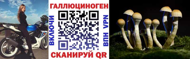 Галлюциногенные грибы Cubensis KRAKEN сайт Чебоксары