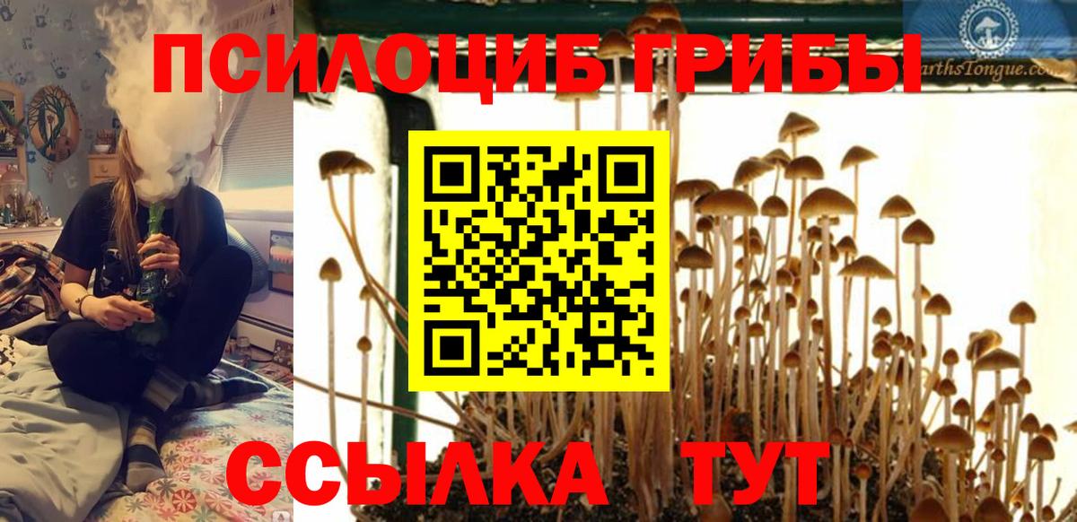 Чебоксары  Галлюциногенные грибы Magic Shrooms  Галлюциногенные грибы мицелий  Вход с VPN 